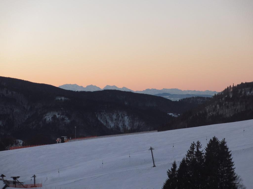 Bergseele Privat- & Retreathotel Schwarzwald ทอดด์เนาแบร์ก ภายนอก รูปภาพ